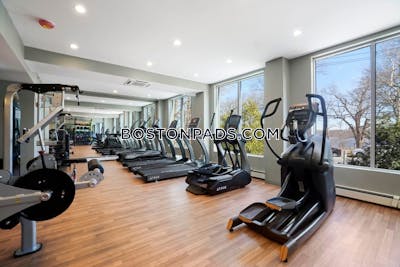 Cambridge 2 Bed 1 Bath CAMBRIDGE Mt. Auburn/brattle/ Fresh Pond - $3,809 No Fee