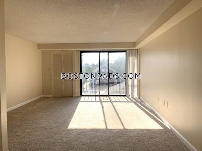 Cambridge 2 Bed 1.5 Bath CAMBRIDGE  Central Square/cambridgeport - $4,100 No Fee