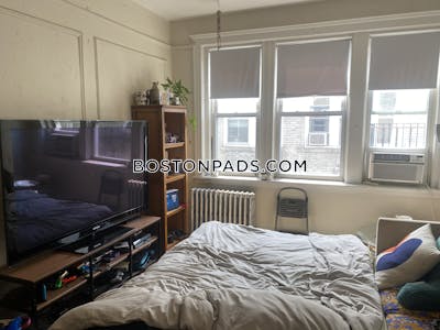 Brighton 1 Bed 1 Bath BOSTON  Boston - $2,475 No Fee