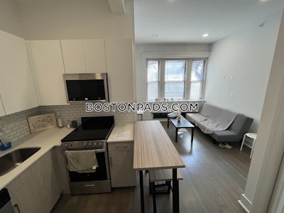 Fenway/kenmore 1 Bed Fenway/kenmore Boston - $2,750 No Fee