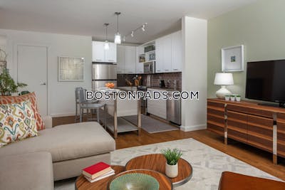Downtown Apartment for rent 1 Bedroom 1 Bath Boston - $3,672 No Fee