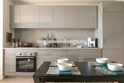 South End Apartment for rent Studio 1 Bath Boston - $3,325 No Fee