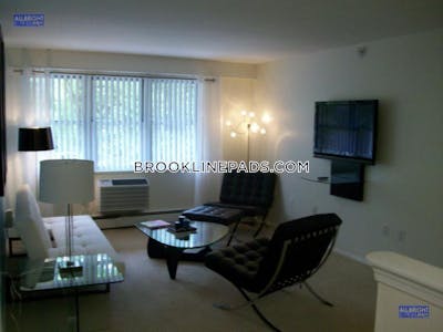 Brookline Apartment for rent 1 Bedroom 1 Bath Boston University - $3,000 No Fee