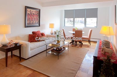 Cambridge Apartment for rent Studio 1 Bath  Porter Square - $2,430 No Fee