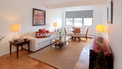 Cambridge Apartment for rent 1 Bedroom 1 Bath  Porter Square - $2,887 No Fee