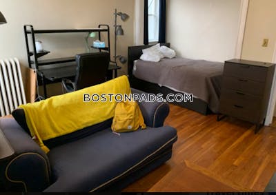 Allston Apartment for rent Studio 1 Bath Boston - $2,500 No Fee