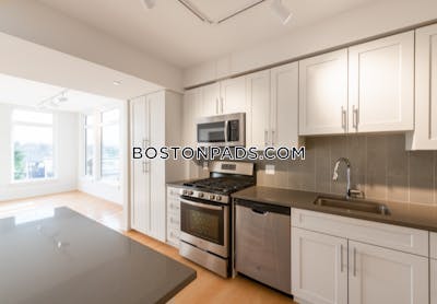 Cambridge Apartment for rent 2 Bedrooms 2 Baths  Mt. Auburn/brattle/ Fresh Pond - $4,400 No Fee