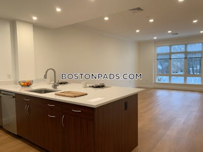 Brookline Apartment for rent 1 Bedroom 1 Bath Chestnut Hill - $2,970 No Fee