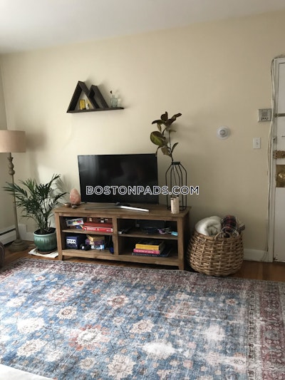 Brighton Apartment for rent 2 Bedrooms 1 Bath Boston - $3,100 No Fee