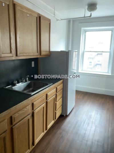 Brighton Apartment for rent 1 Bedroom 1 Bath Boston - $2,250 No Fee