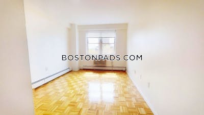 Brookline Apartment for rent 1 Bedroom 1 Bath Boston University - $3,000 No Fee