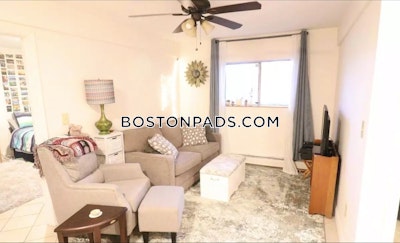 Brighton 2 Beds 1 Bath Boston - $2,500 No Fee