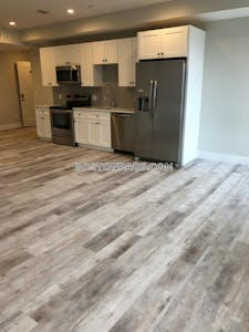 Mission Hill Apartment for rent 1 Bedroom 1 Bath Boston - $3,395 No Fee