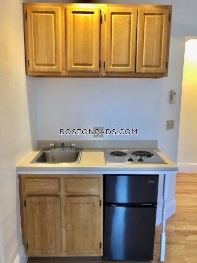 Brookline Apartment for rent Studio 1 Bath  Boston University - $1,995 No Fee