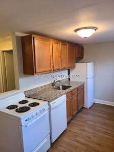 Brighton Apartment for rent 3 Bedrooms 1 Bath Boston - $3,810 No Fee