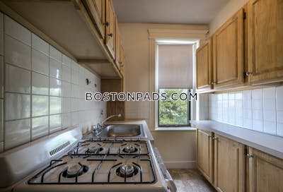 Allston Apartment for rent 1 Bedroom 1 Bath Boston - $2,600 No Fee