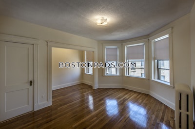 Allston Apartment for rent 1 Bedroom 1 Bath Boston - $2,950 No Fee