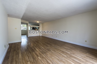 Brighton 2 Beds 1.5 Baths Boston - $3,350 No Fee