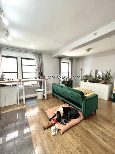 Downtown Apartment for rent 1 Bedroom 1 Bath Boston - $2,695 No Fee