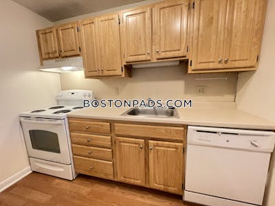 Allston Apartment for rent 1 Bedroom 1 Bath Boston - $4,450 No Fee