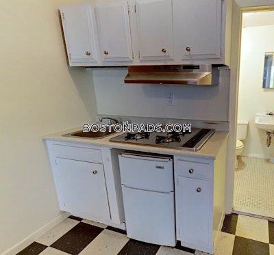 Back Bay Apartment for rent Studio 1 Bath Boston - $2,900 No Fee