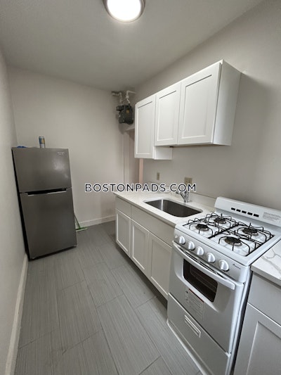 Allston Apartment for rent 1 Bedroom 1 Bath Boston - $2,300 No Fee