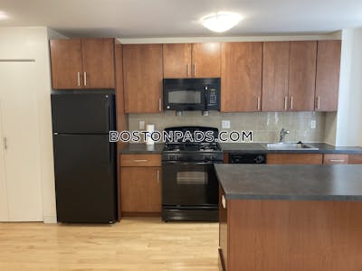 Brighton Apartment for rent 1 Bedroom 1 Bath Boston - $2,899 No Fee