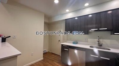 Newton Apartment for rent Studio 1 Bath  Chestnut Hill - $2,500 No Fee