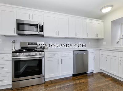Dorchester Apartment for rent 3 Bedrooms 1 Bath Boston - $2,695 No Fee