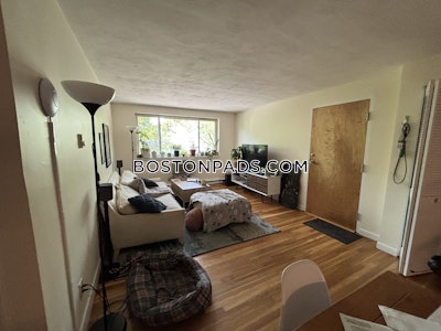 Brighton 2 Beds 1 Bath Boston - $3,000 No Fee