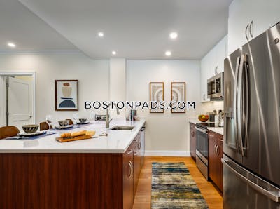 Brookline Apartment for rent 2 Bedrooms 2 Baths  Chestnut Hill - $4,275 No Fee