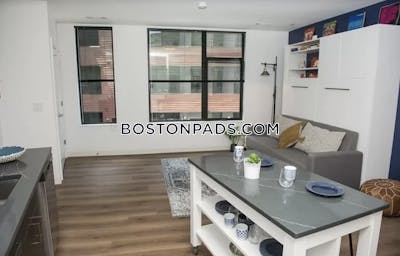 Allston Apartment for rent Studio 1 Bath Boston - $2,875 No Fee