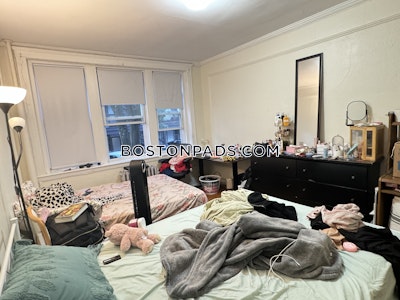 Allston/brighton Border Apartment for rent 1 Bedroom 1 Bath Boston - $2,225 No Fee