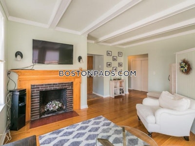 Brighton Apartment for rent 1 Bedroom 1 Bath Boston - $2,600 No Fee