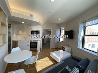 Cambridge Beautiful Studio 1 Bath  Harvard Square - $3,300 No Fee