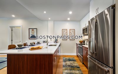 Brookline Apartment for rent 1 Bedroom 1 Bath  Chestnut Hill - $3,195 No Fee