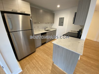 Allston Apartment for rent 2 Bedrooms 2 Baths Boston - $3,600 No Fee